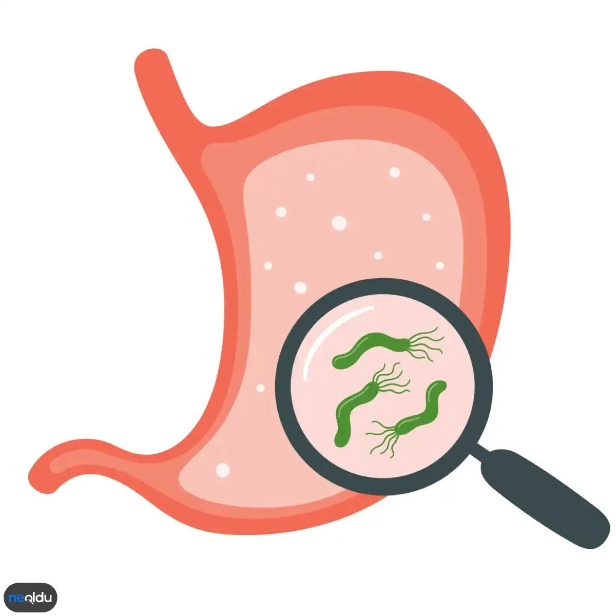 Helicobacter Pylori