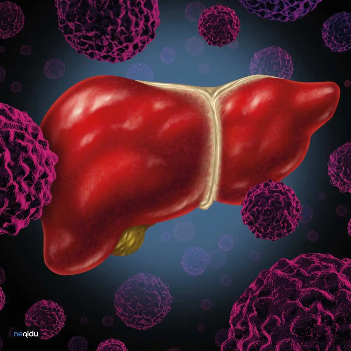Hepatit B