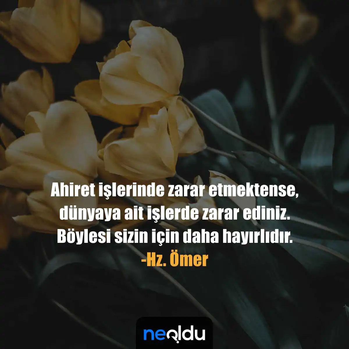 Hz Ömer'in En Güzel Sözleri