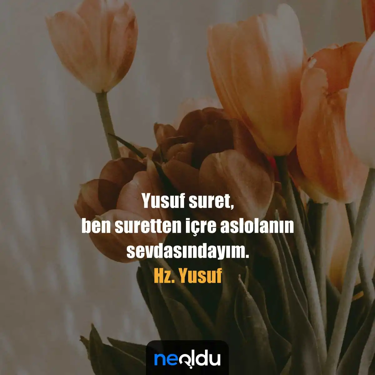 Hz Yusuf Sözleri 5