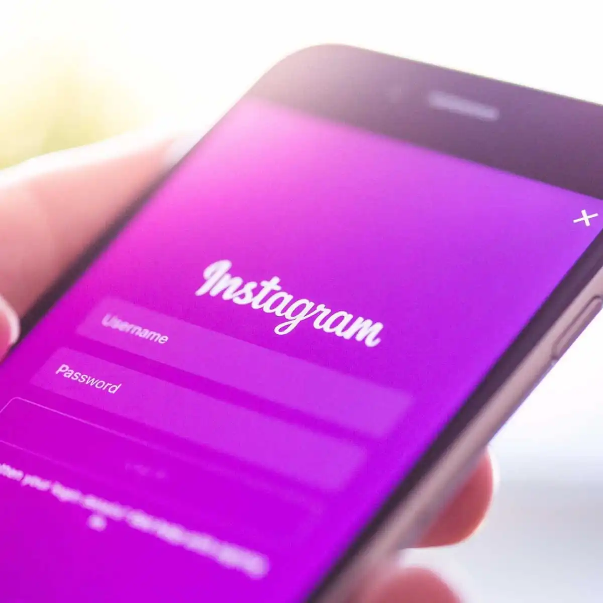 Instagram İşletme Hesabı Takipçi Artırma