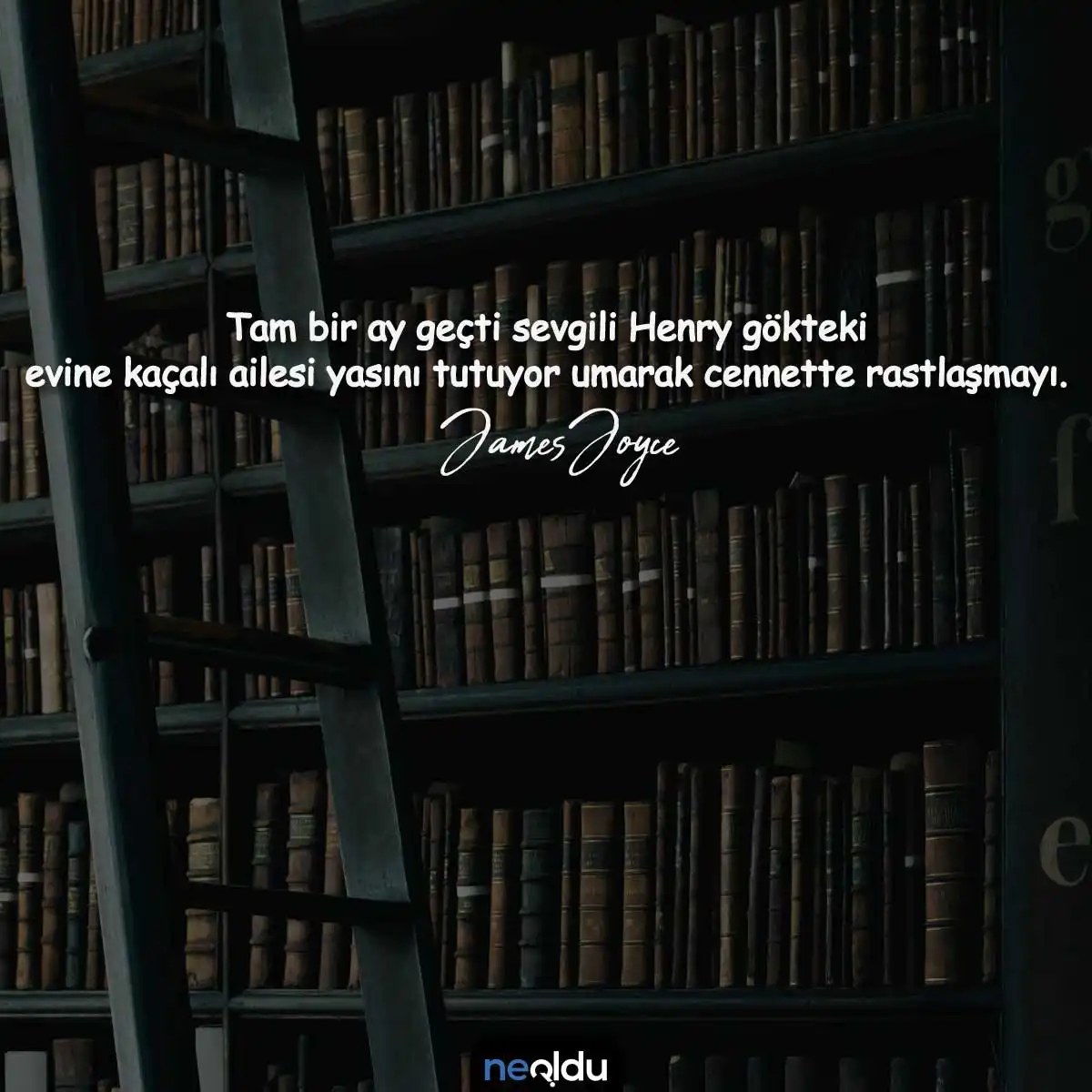 James Joyce Sözleri 3