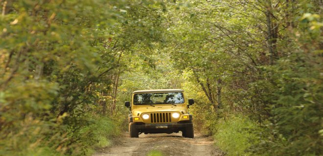 jeep-safari-.jpg