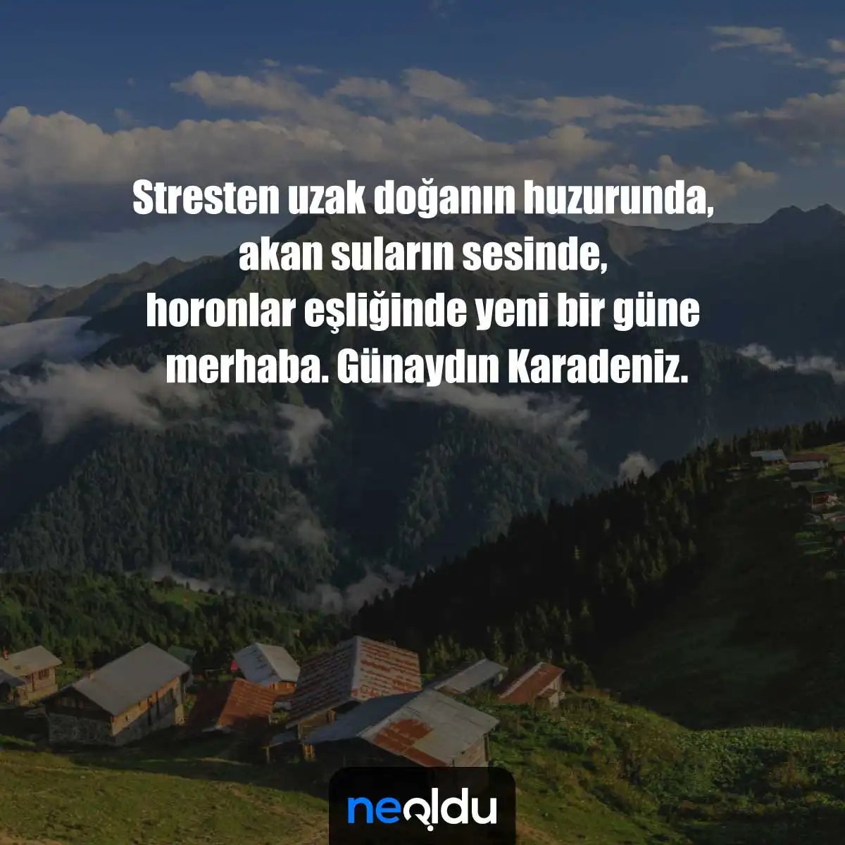 Karadeniz Horon ve Eğlence