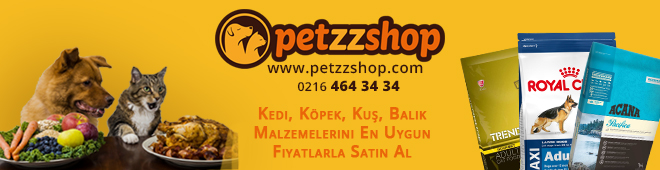 Kediler yoğurt yer mi