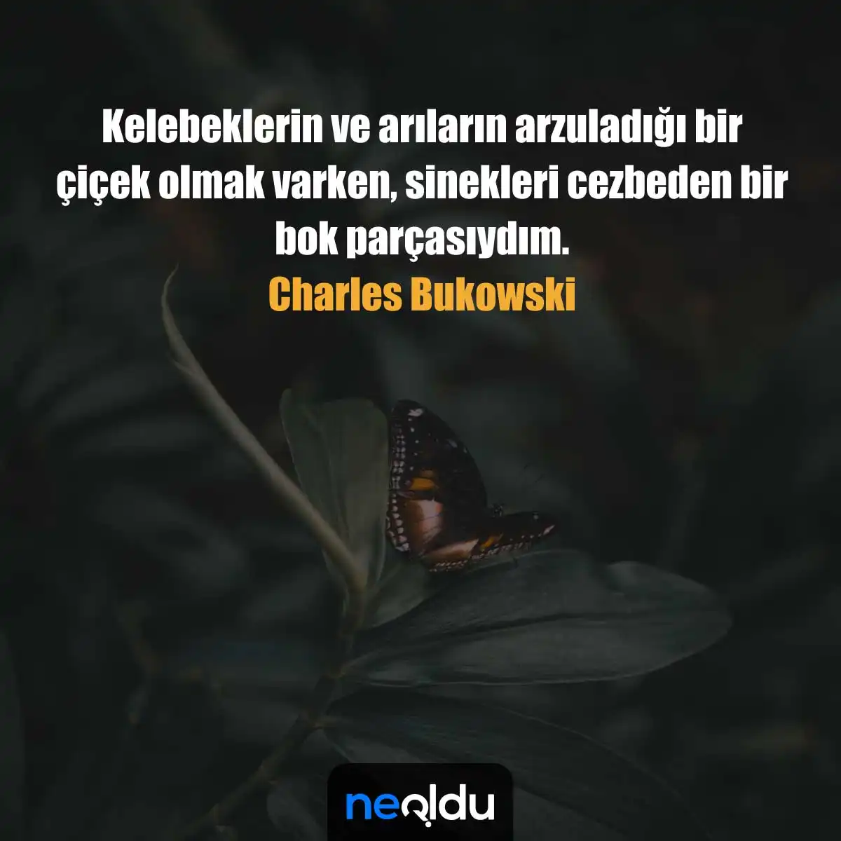 Kelebek Sözleri