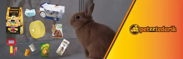 Toptan Petshop Ürünleri