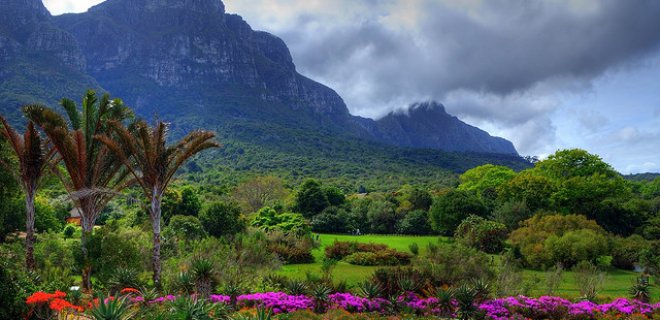 kirstenbosch-ulusal-botanik-bahcesi-001.jpg