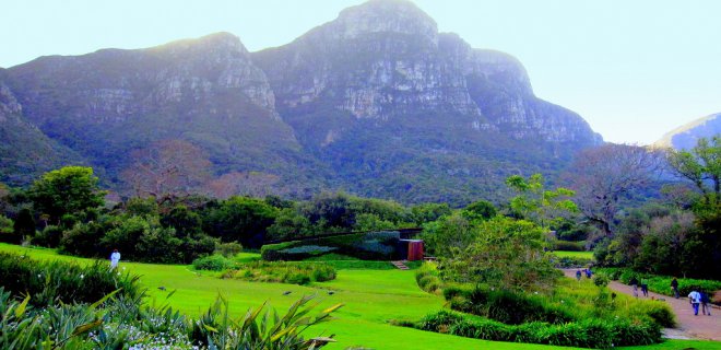 kirstenbosch-ulusal-botanik-bahcesi.jpg