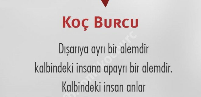 kocburcu3.jpg