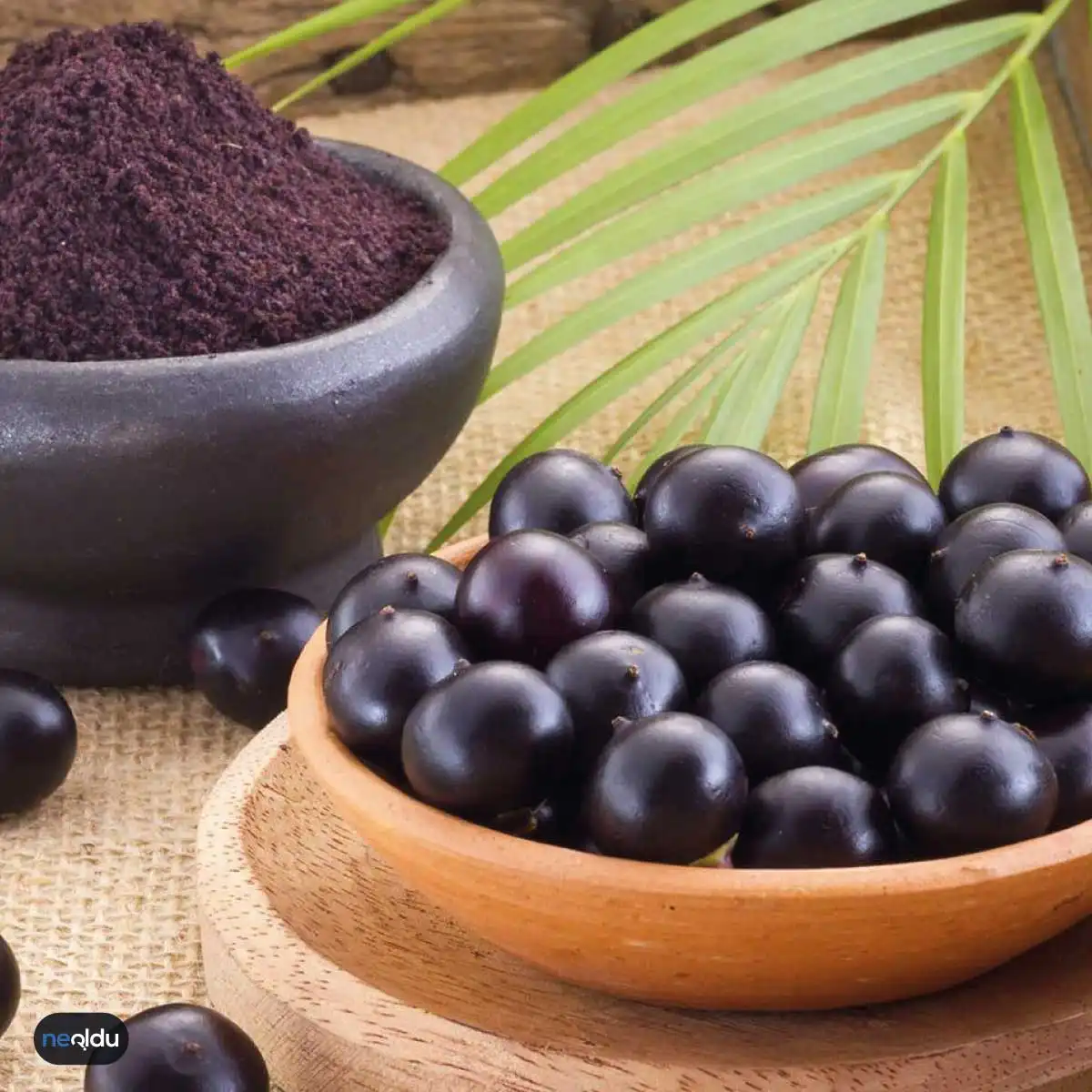 Acai Üzümü Nedir, Faydaları Nelerdir?