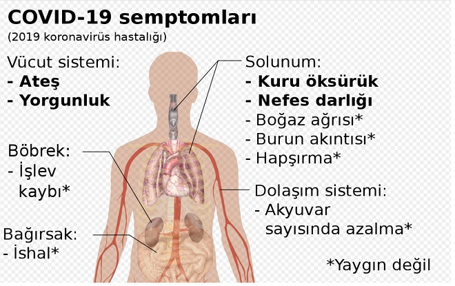  Enfeksiyon Belirtileri Nelerdir?