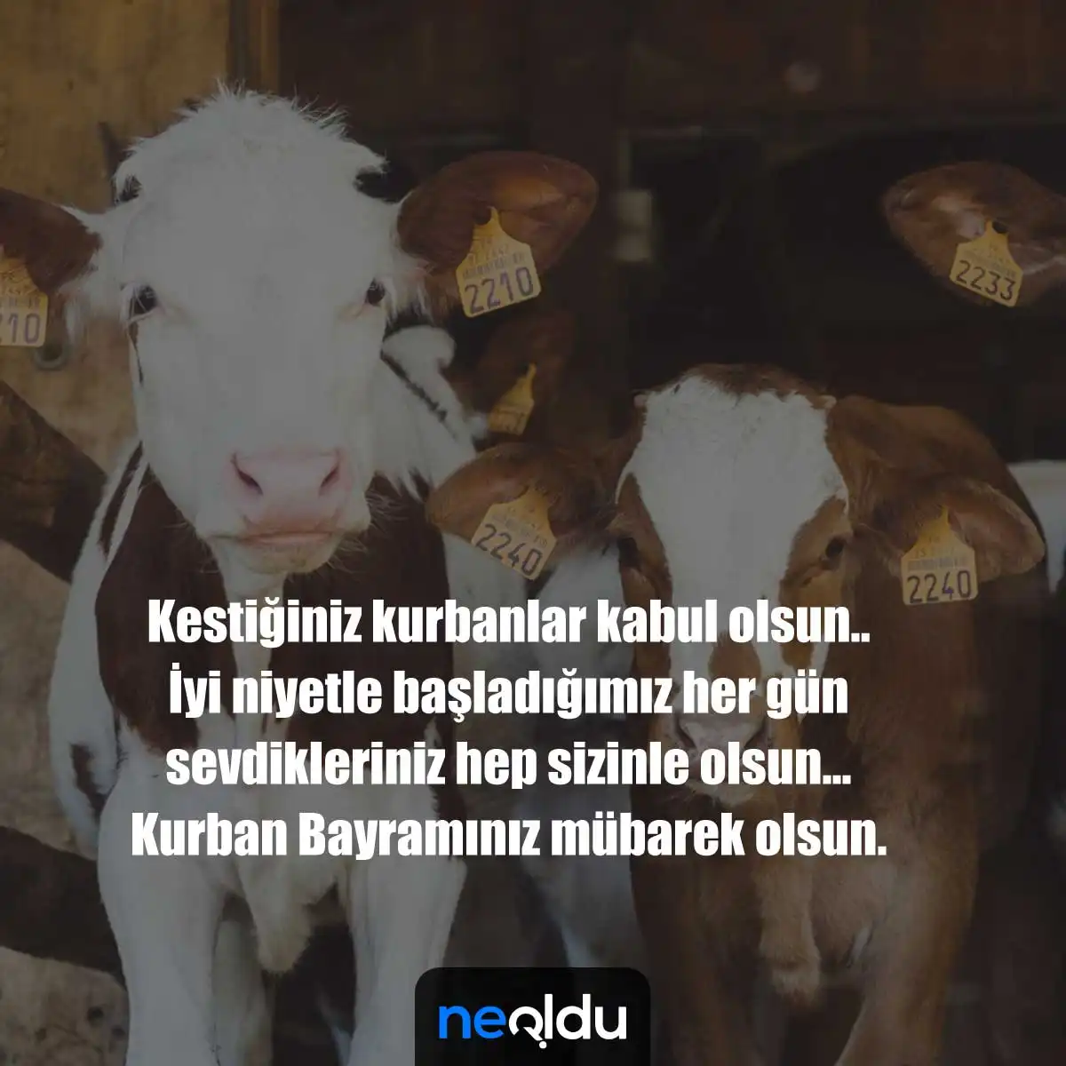 Kurban Bayramı Mesajları Görseli 6