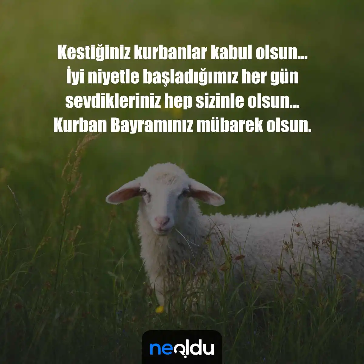 Kurban Bayramı Mesajları Görseli 7