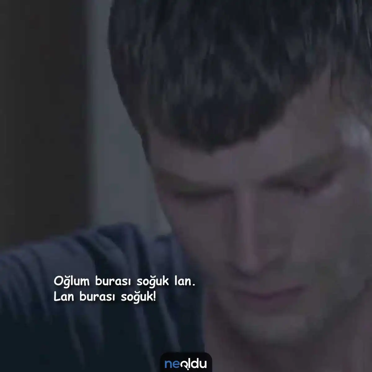 Kuzey Güney Replikleri 2