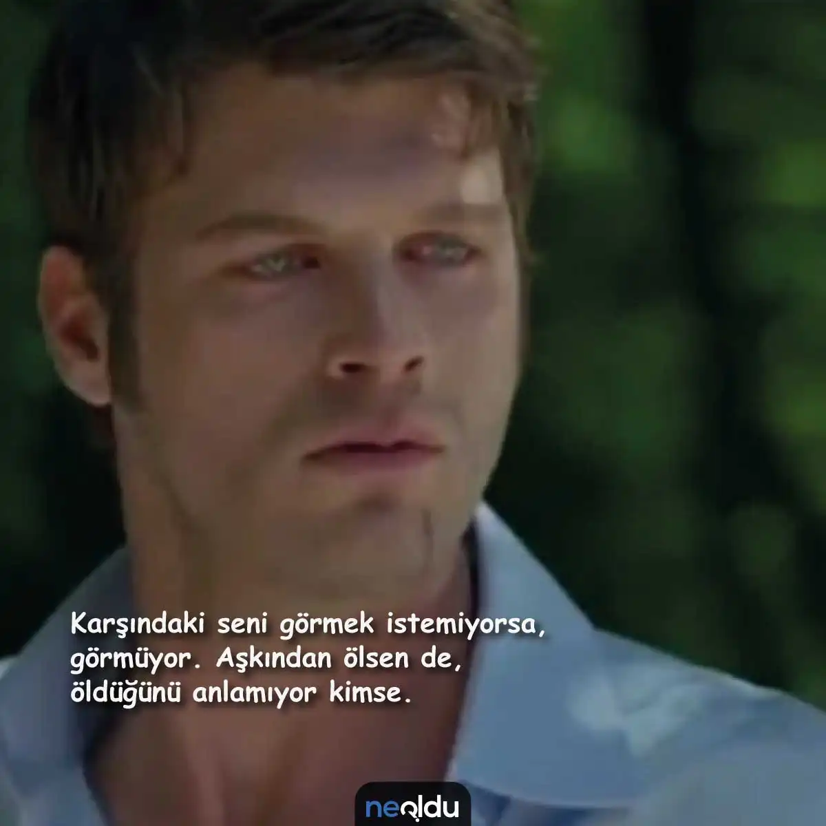 Kuzey Güney Replikleri 8