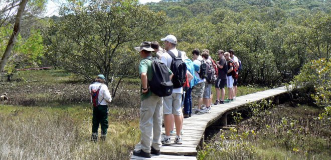 lane-cove-national-park.JPG