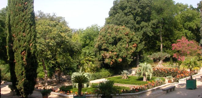 le-jardin-des-plantes-de-montpellier.jpg