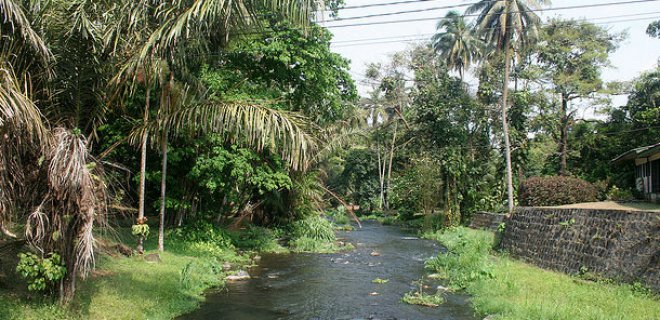 limbe-botanik-bahcesi.jpg