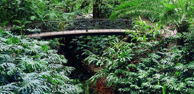 malaga-jardin-botanico.jpg