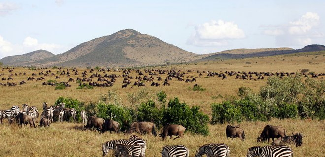 masai-mara.jpg