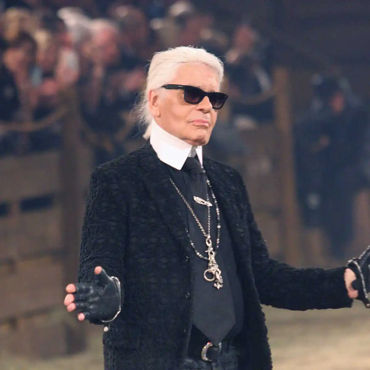 Melissa Karl Lagerfeld Koleksiyonu