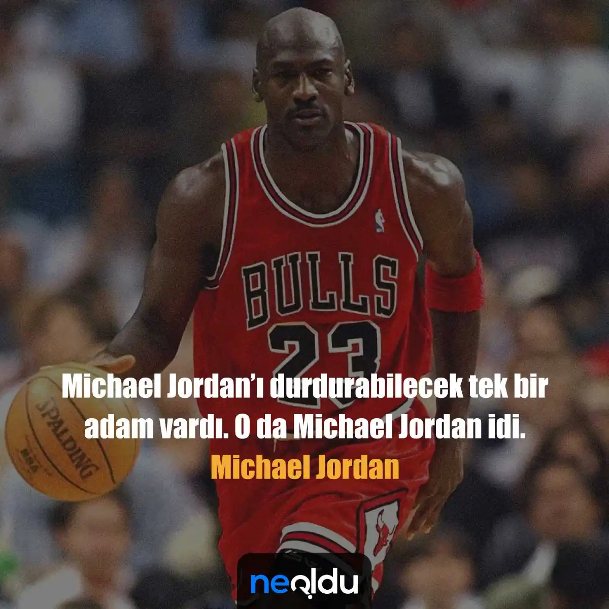 Michael Jordan Kariyer Sözleri