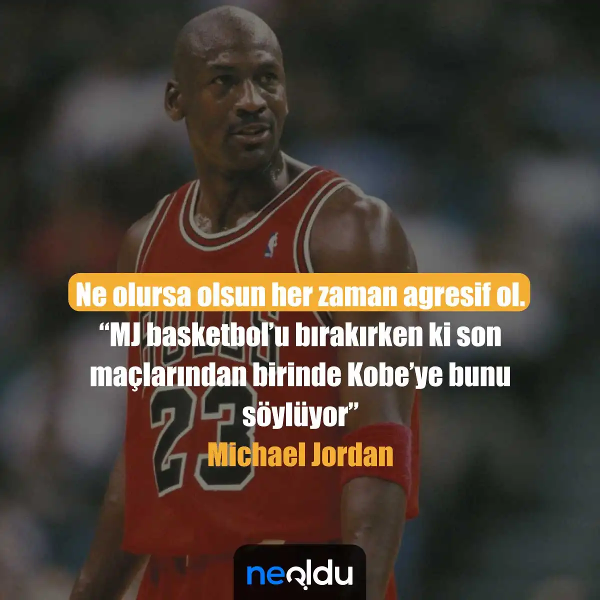 Michael Jordan Uzun Sözleri