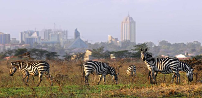 nairobi-ulusal-parki.jpg