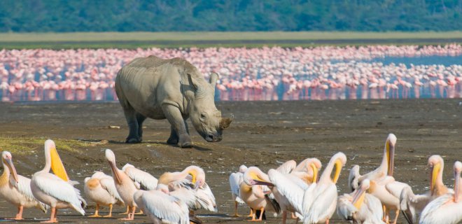 nakuru-golu.jpg