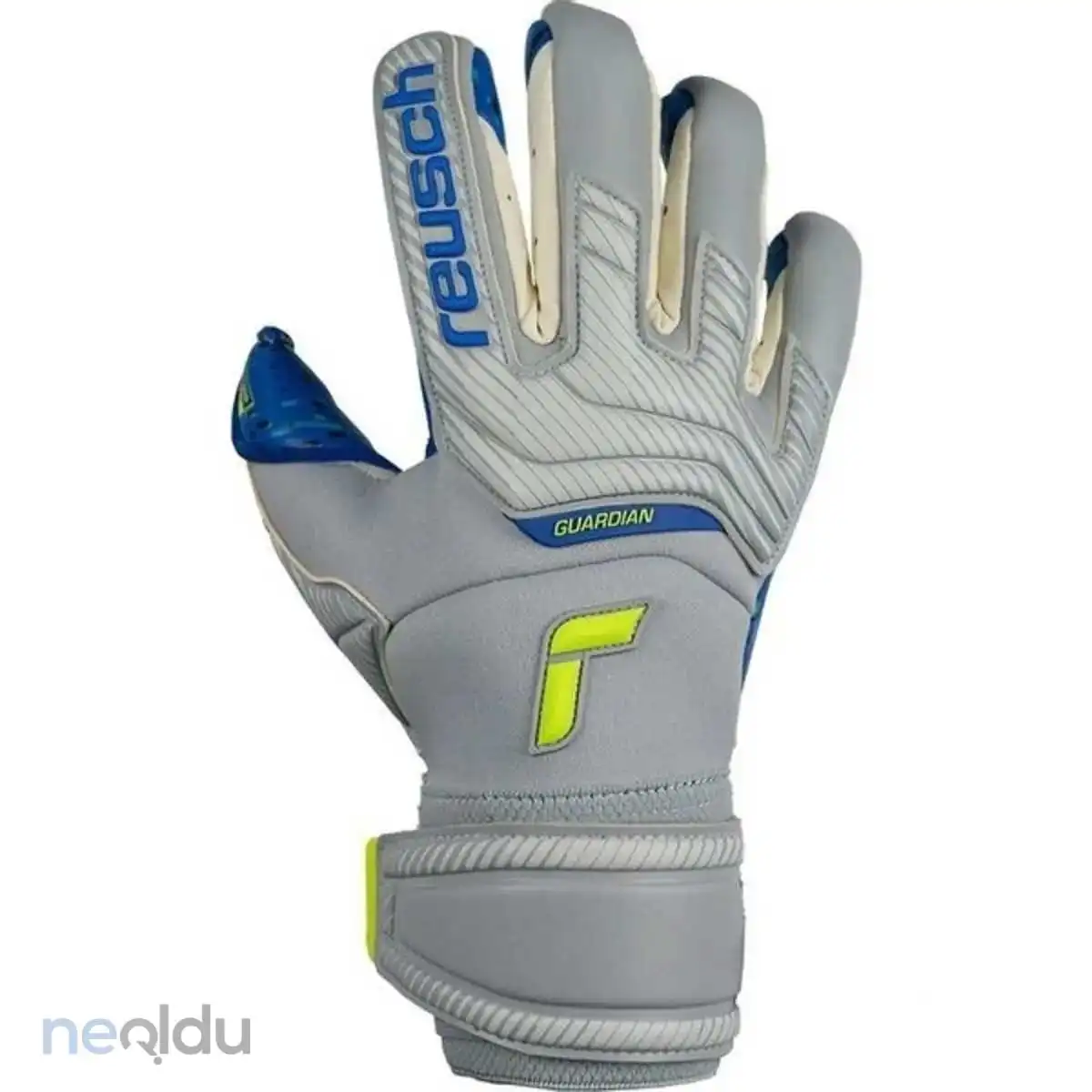 Reusch Attrakt Fusion Guardion