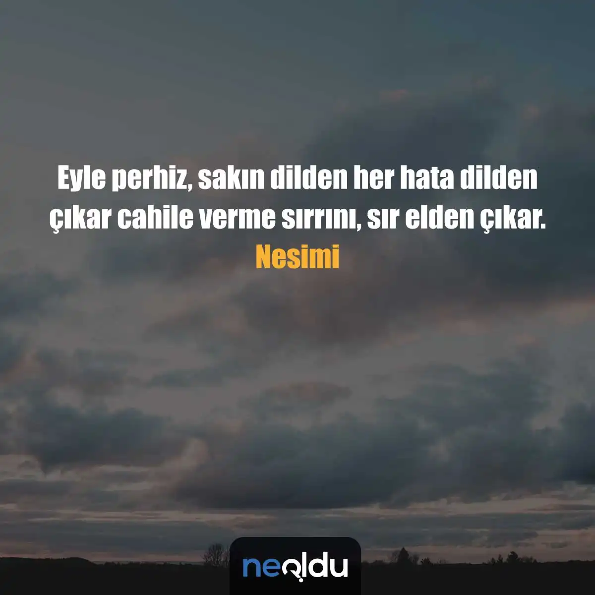 Nesimi Edebi Sözleri