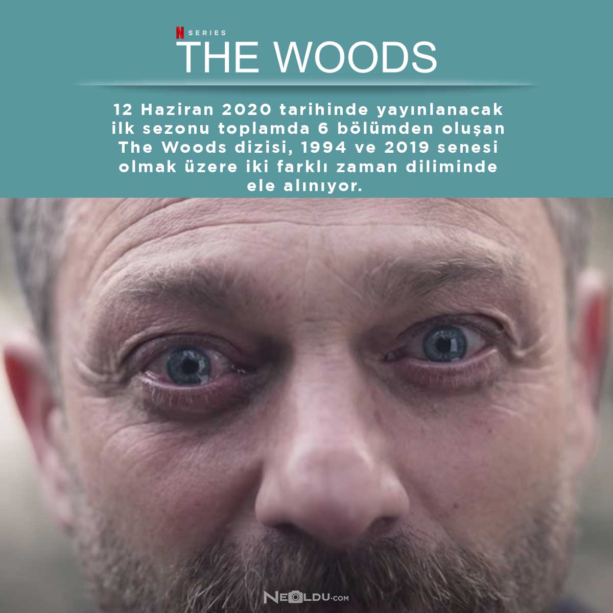 netflix-orijinal-yapimi-the-woods-dizisi.jpg