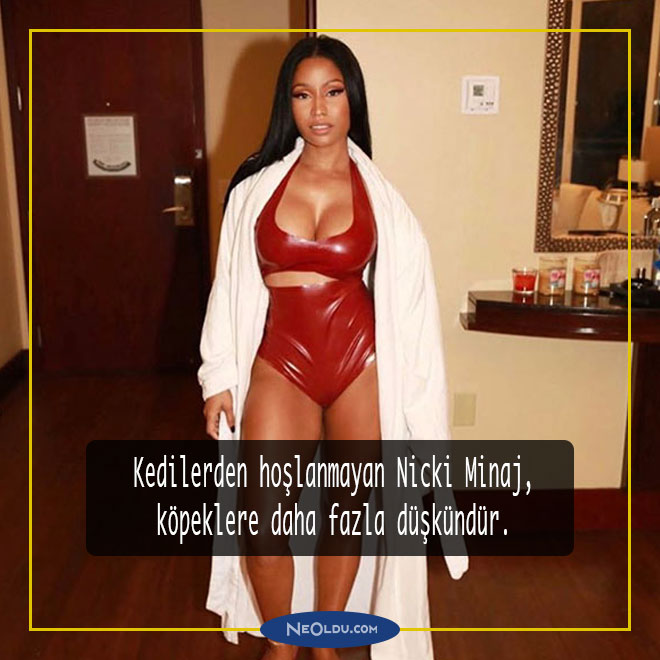 nicki minaj hakkında bilgi