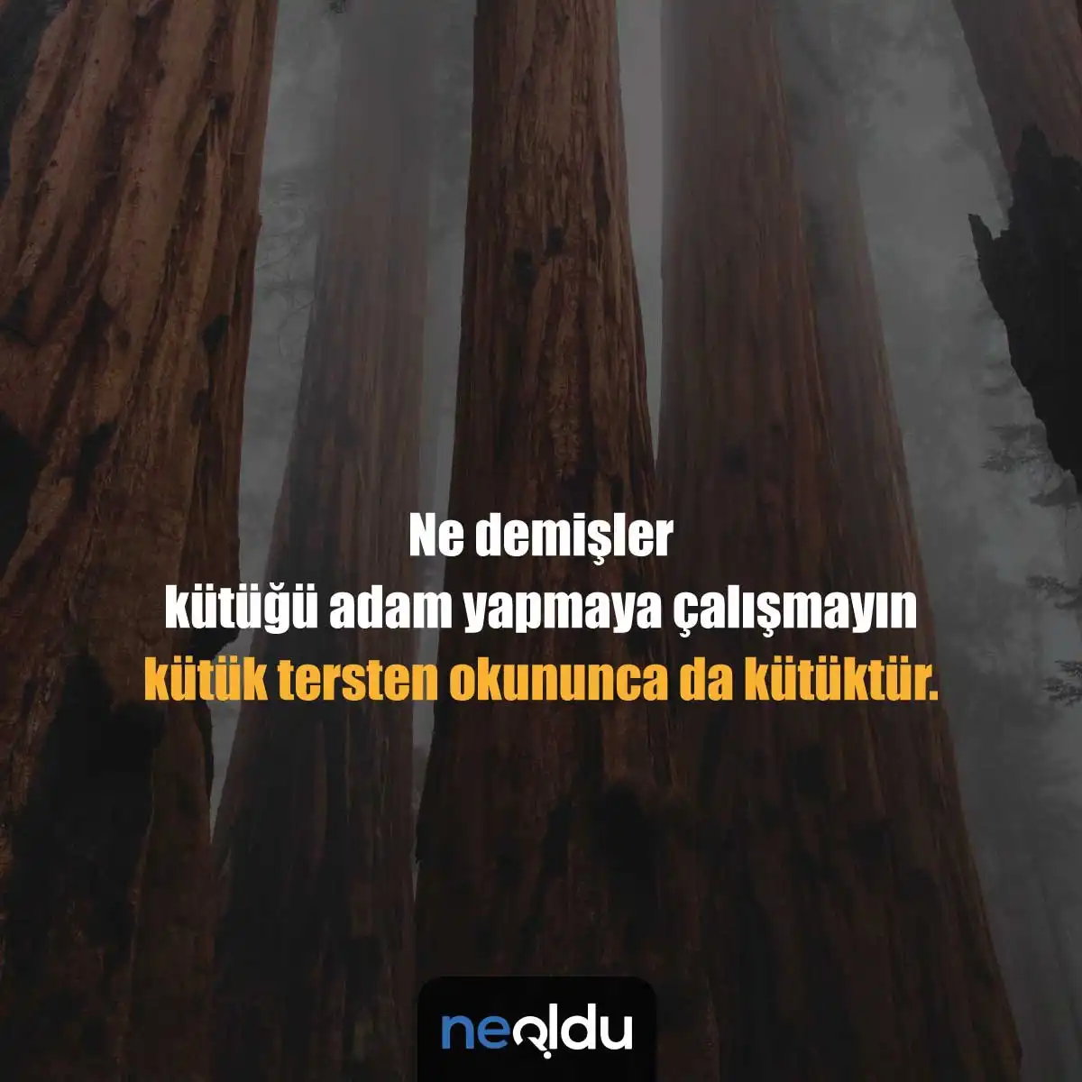 Kadınların odun erkek tanımı