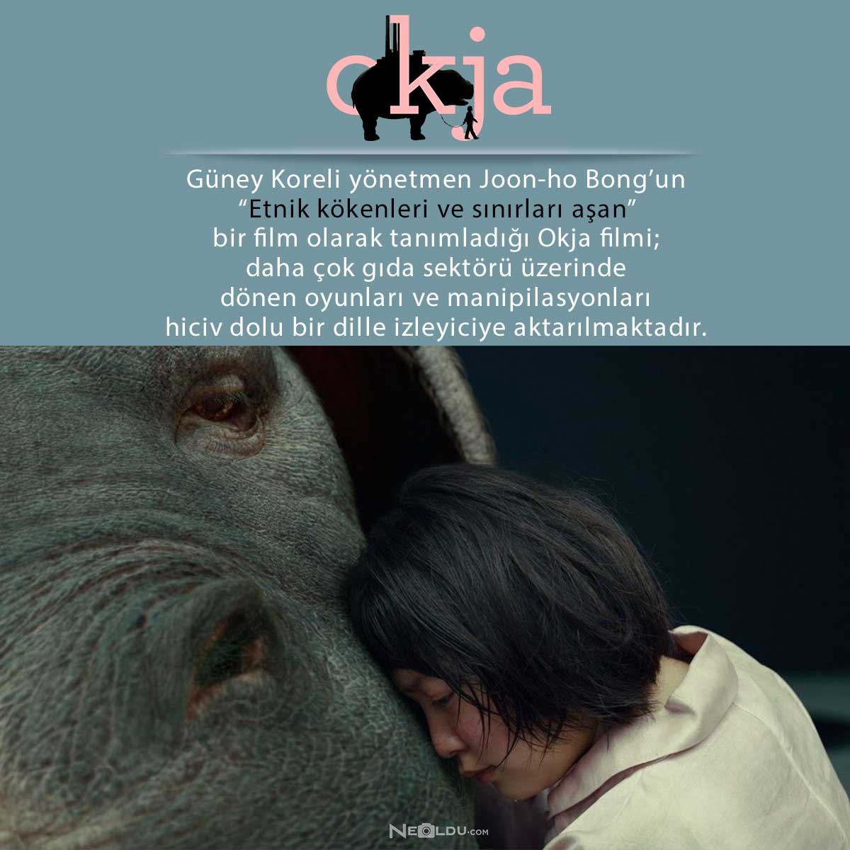 okja-hakkinda-bilgi.jpg