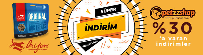 orijen.jpg