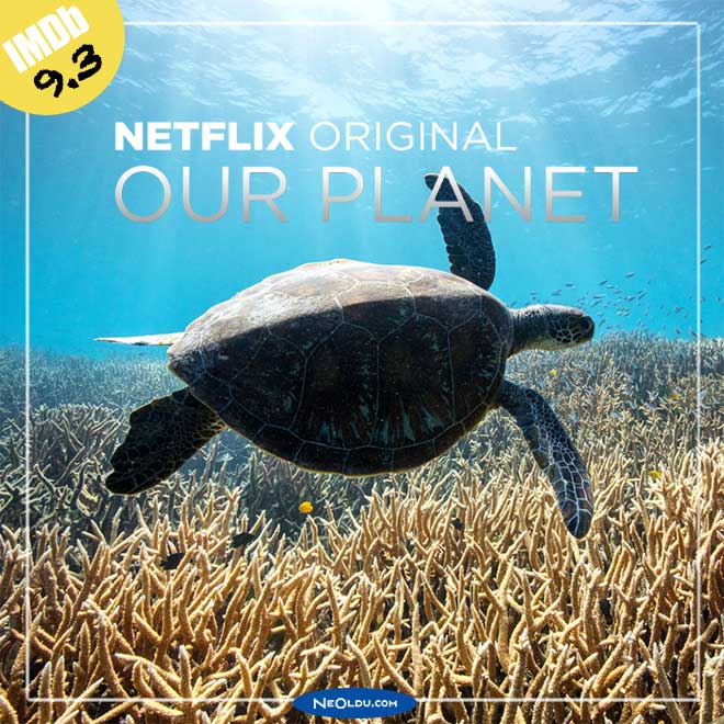 Our Planet doğa belgeseli Netflix