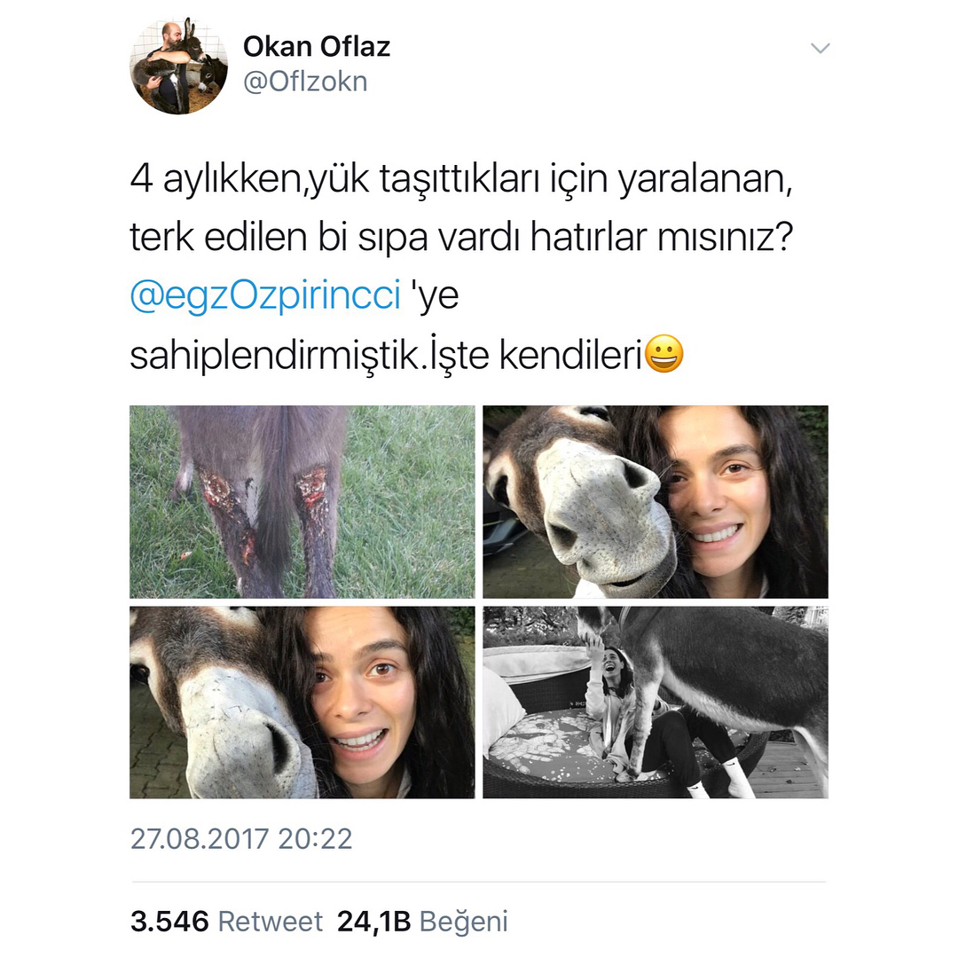 özge özpirinçci paylaşımı