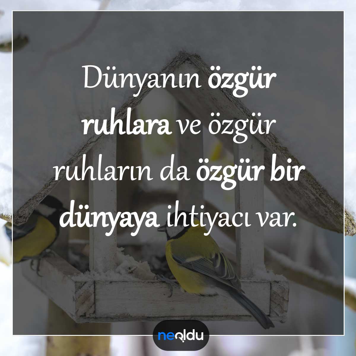 Özgürlük Sözleri