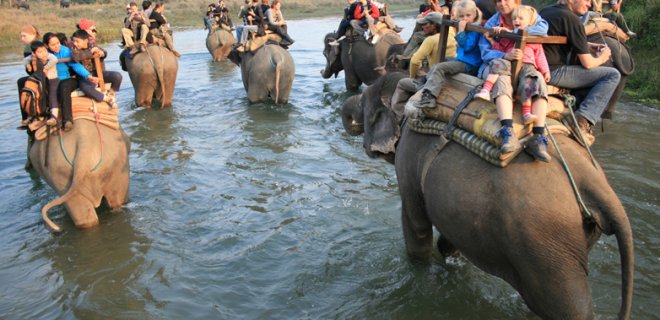 chitwan parkı