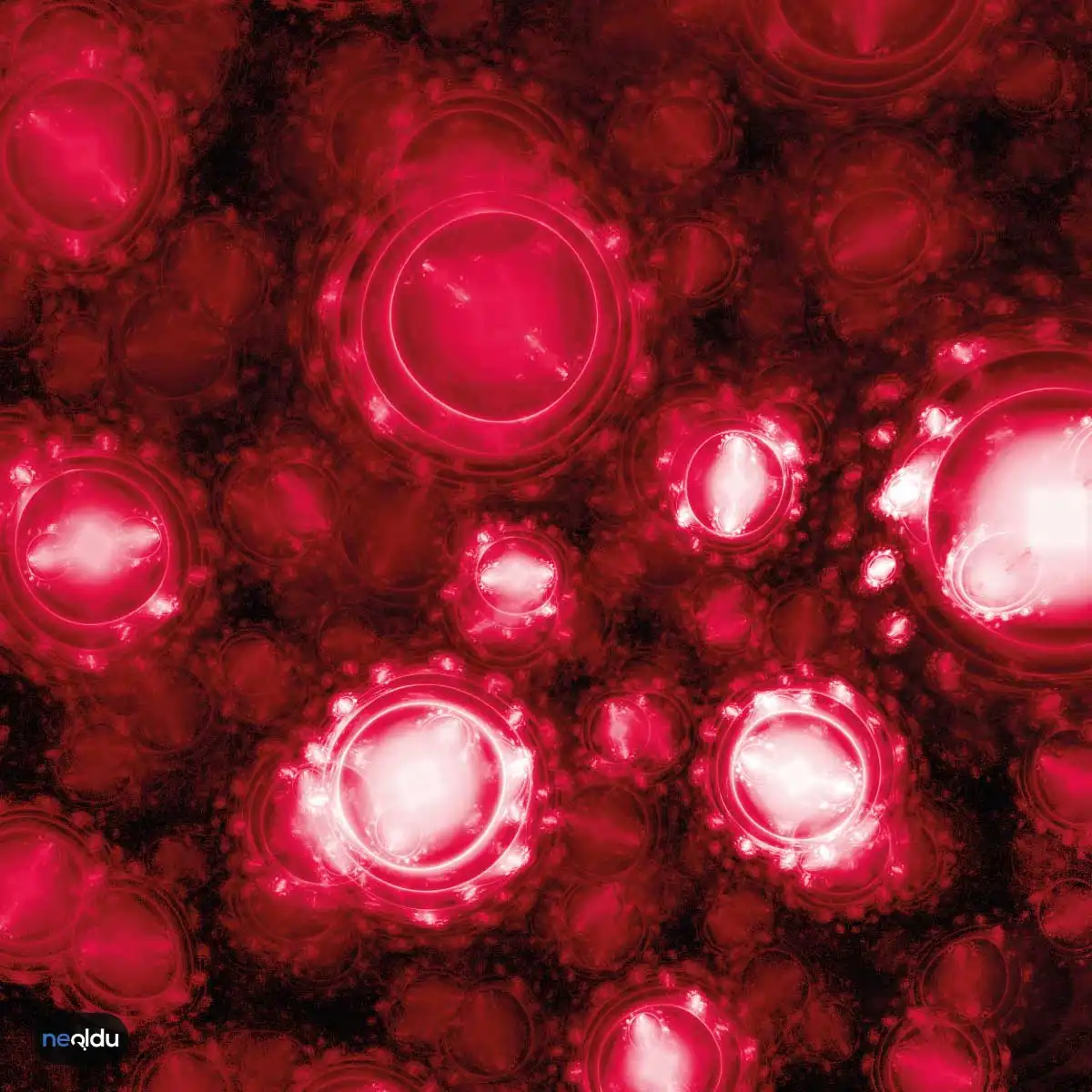 Paroksismal Nokturnal Hemoglobinüri (PNH) Nedir?