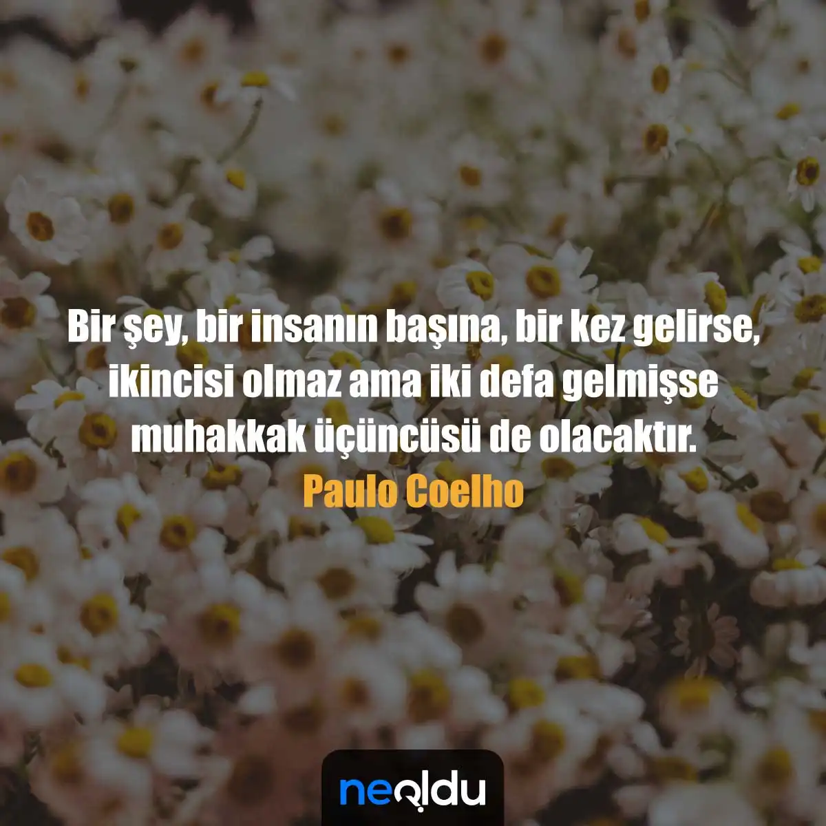 Paulo Coelho'nun Simyacı kitabındaki ders niteliğinde söz