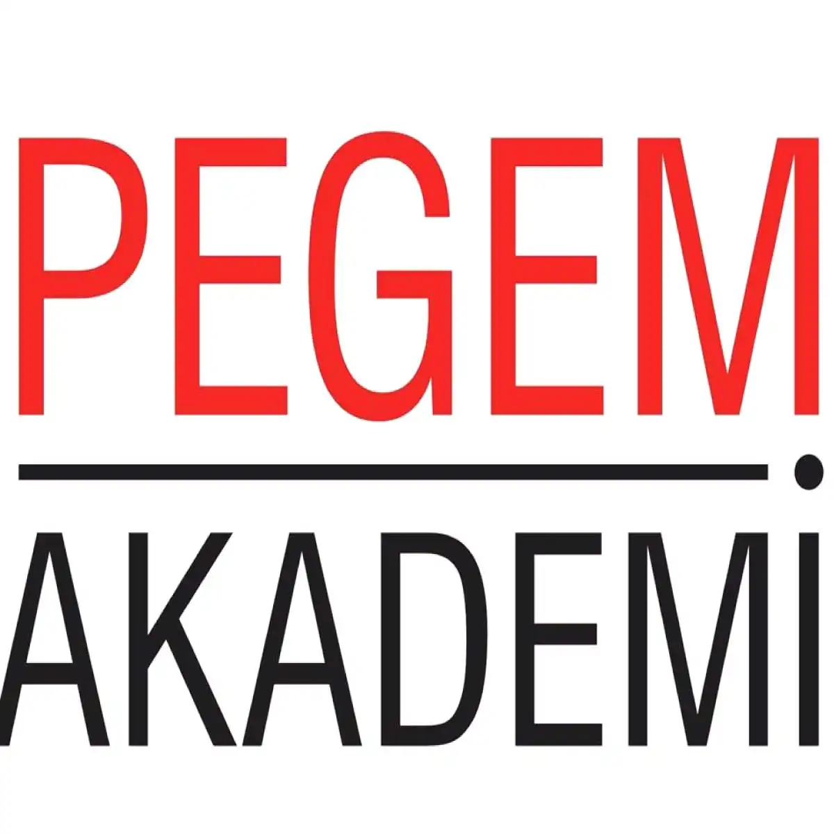 Hedefe Ulaşmanızı Sağlayan En İyi KPSS Yayınları Pegem Akademi Yayınları 