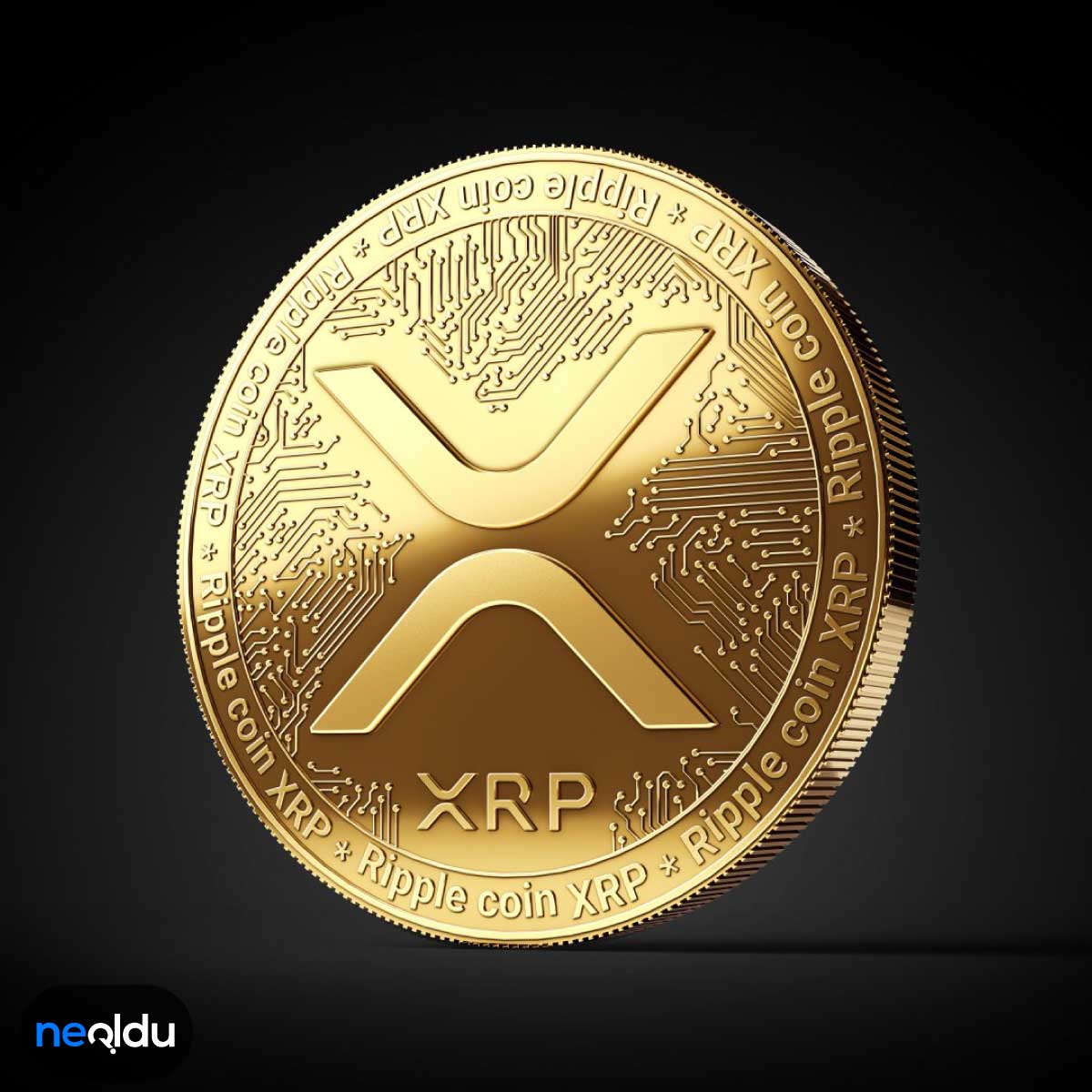 Popüler Kripto paralar