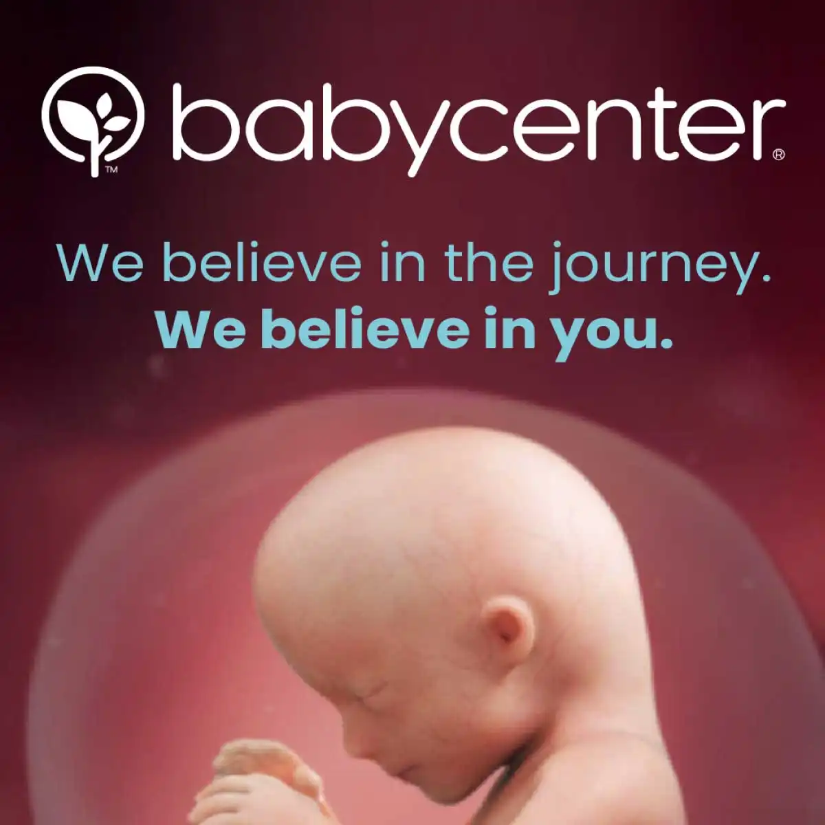 En İyi Gebelik Takip uygulamaları Pregnancy Tracker Baby Center