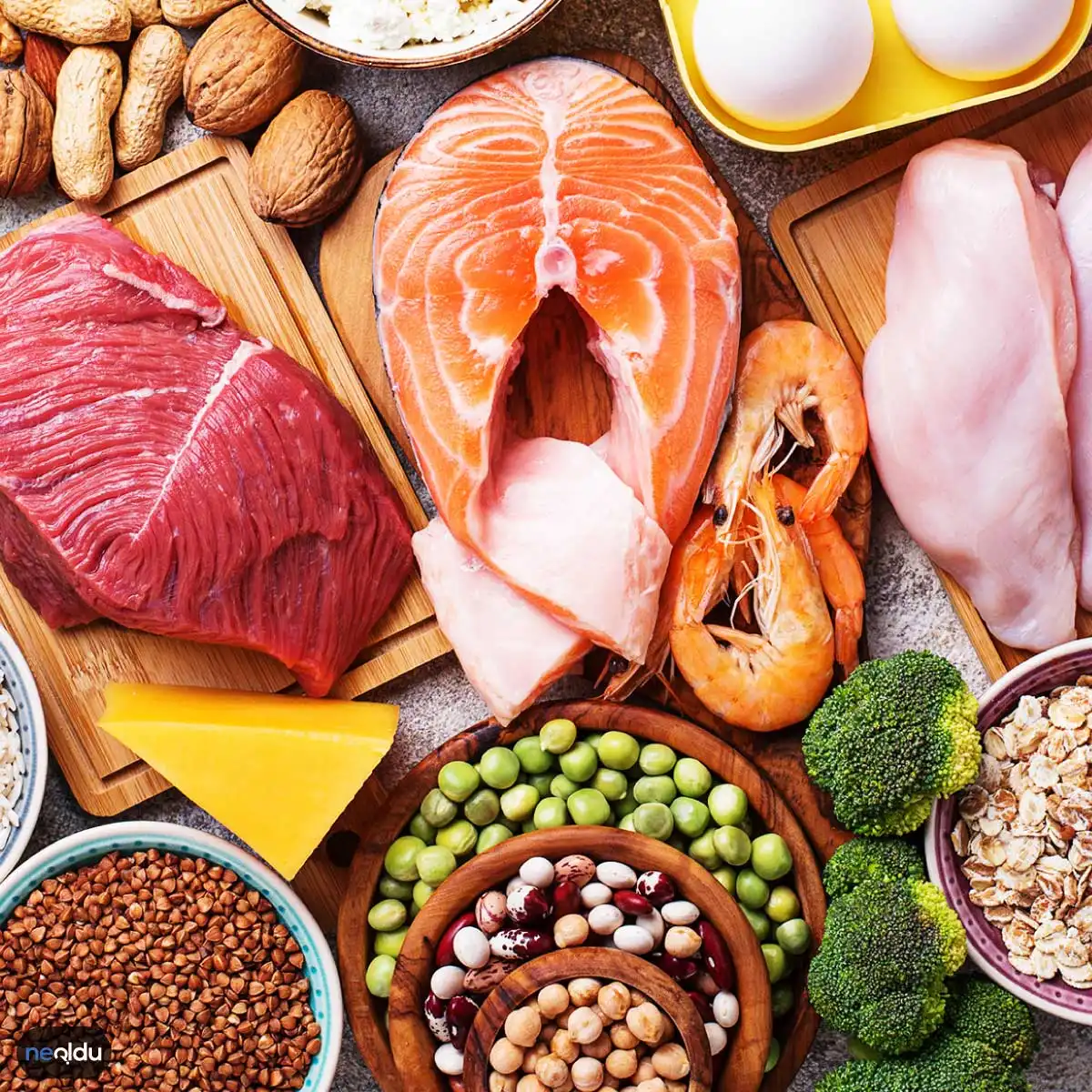 protein-hakkinda-bilgiler-001.webp