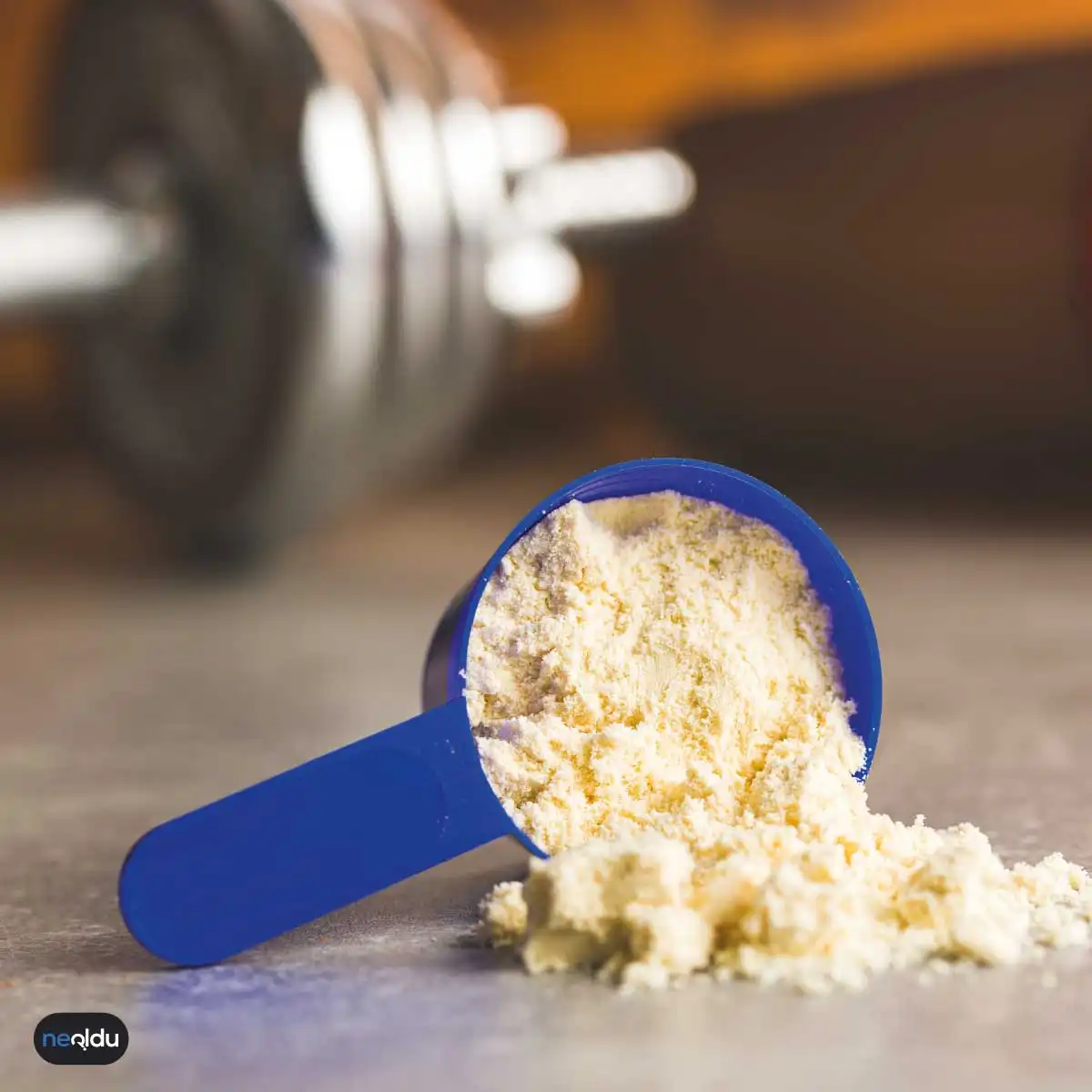 Protein Tozu Nedir?