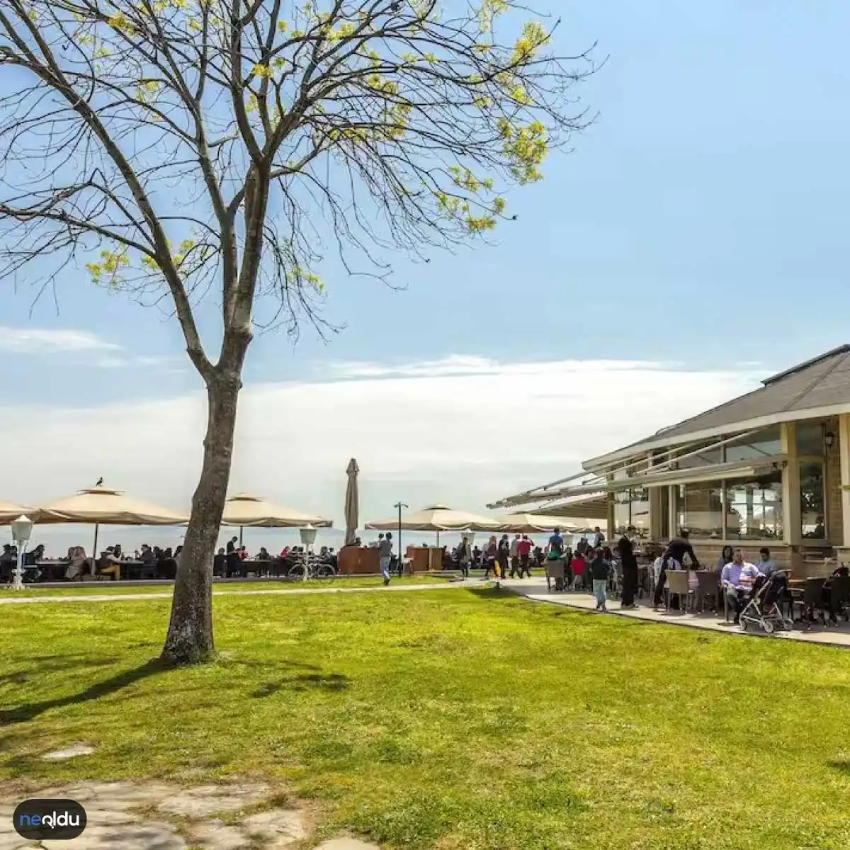 İstanbul'un En İyi Kır Restoranları