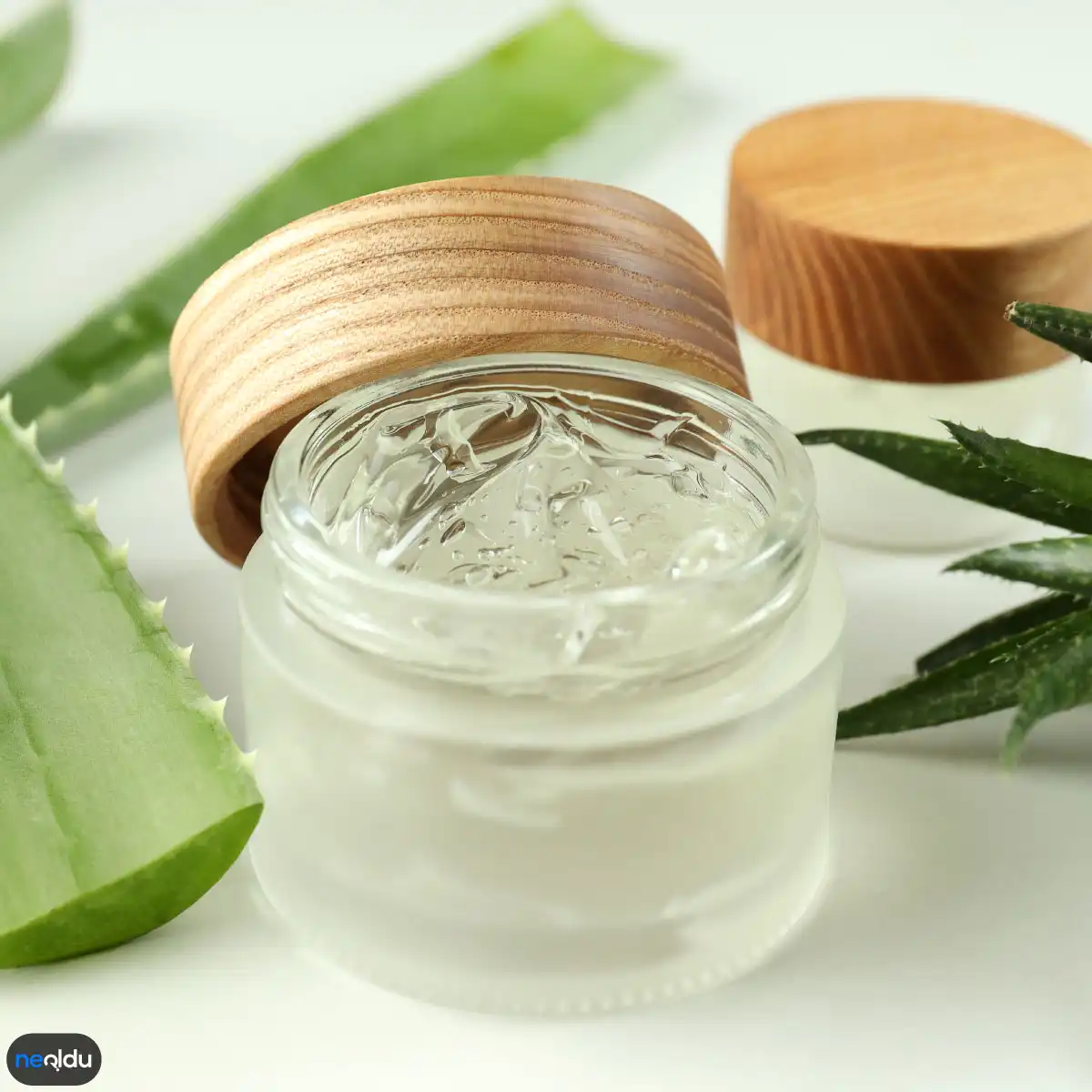 Aloe vera saçları nemlendirir ve kırıkları onarır